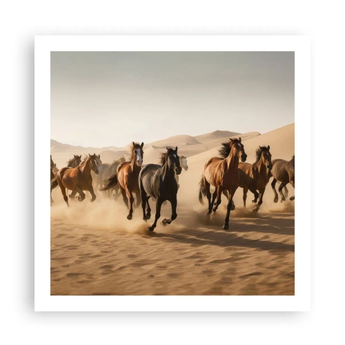 Affiche - Poster - Libre comme le vent - 60x60 cm