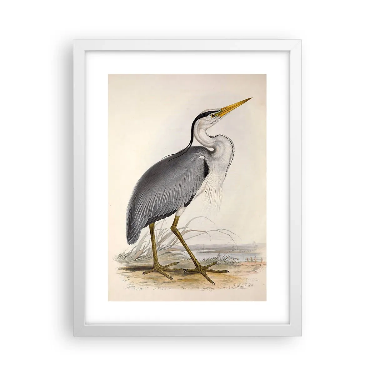 Affiche dans un cadre blanc - Poster - Grâce au héron - 30x40 cm