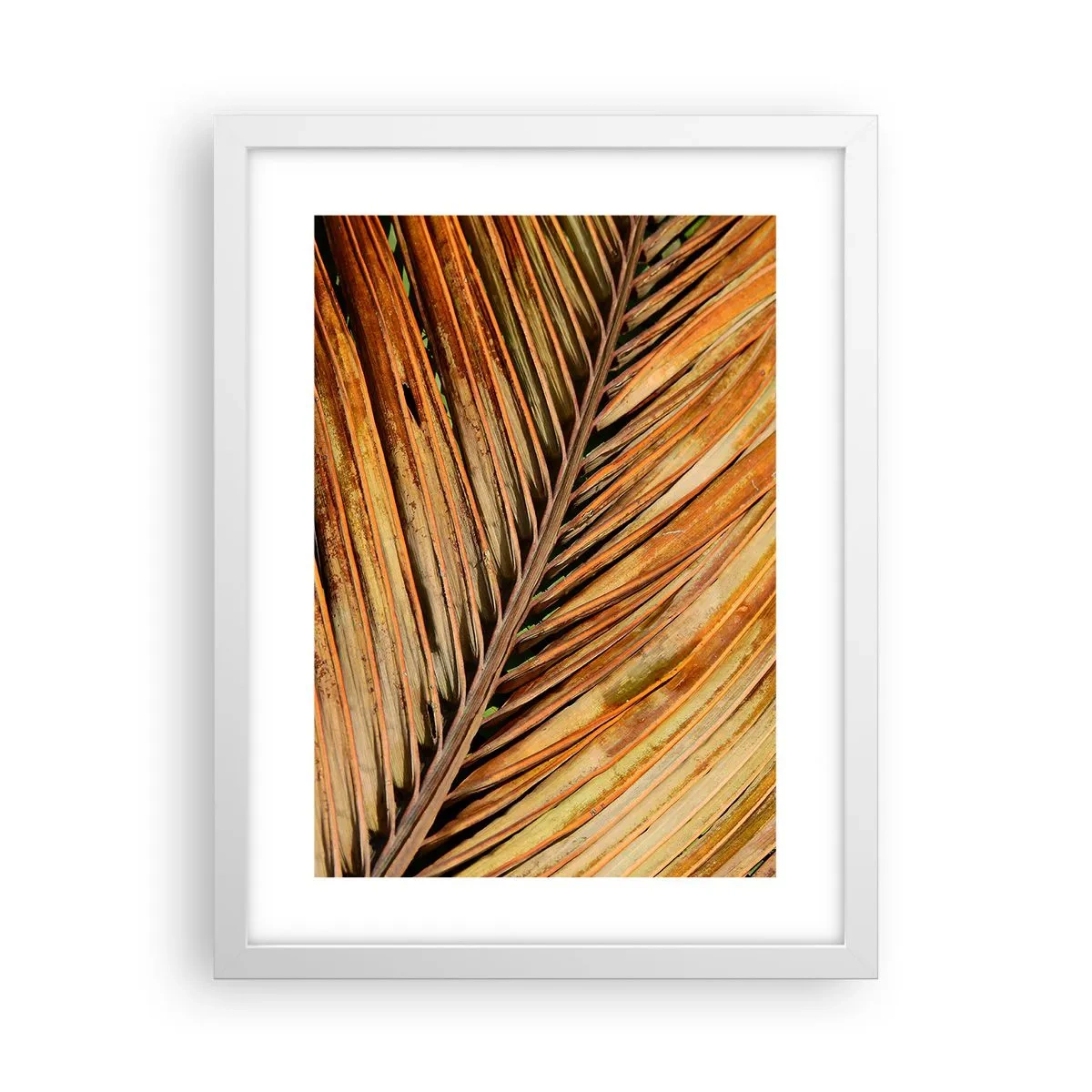 Affiche dans un cadre blanc - Poster - Or de noix de coco - 30x40 cm