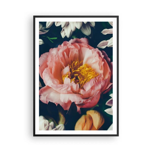 Affiche dans un cadre noir - Poster - Splendeur baroque - 70x100 cm