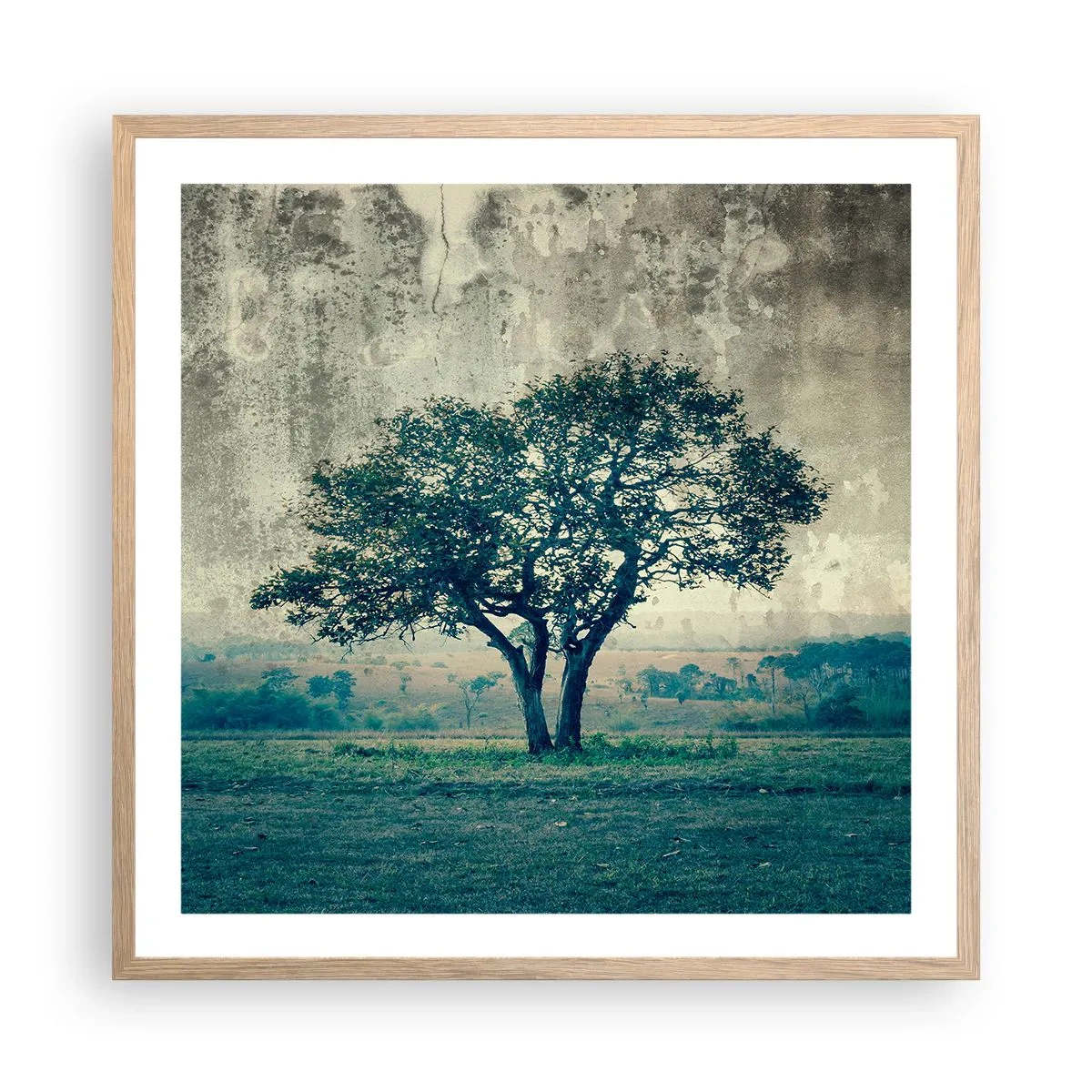 Affiche dans un chêne clair - Poster - Un pommier sur un champ bleu ? - 60x60 cm