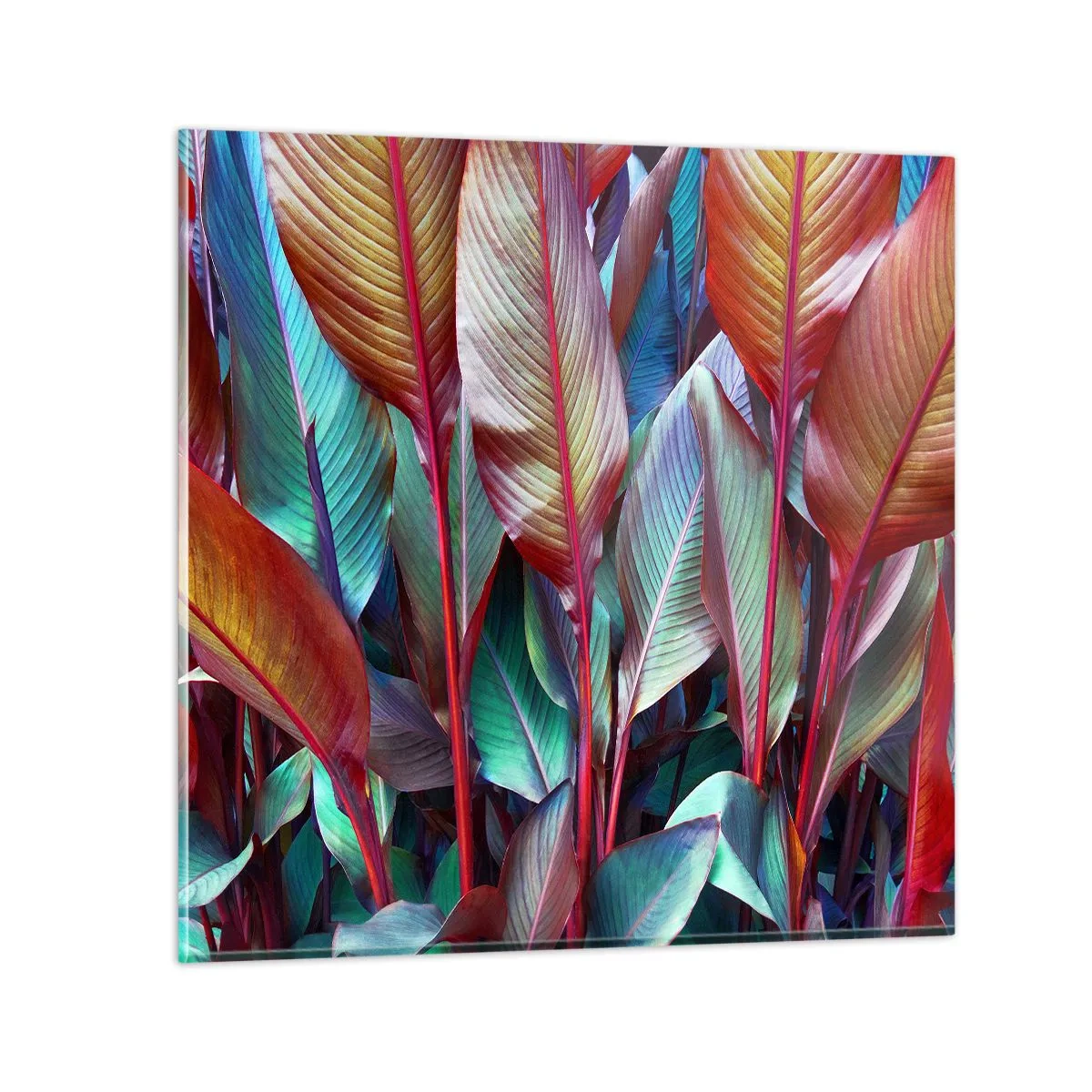 Impression sur verre - Image sur verre - Un fourré coloré - 40x40 cm