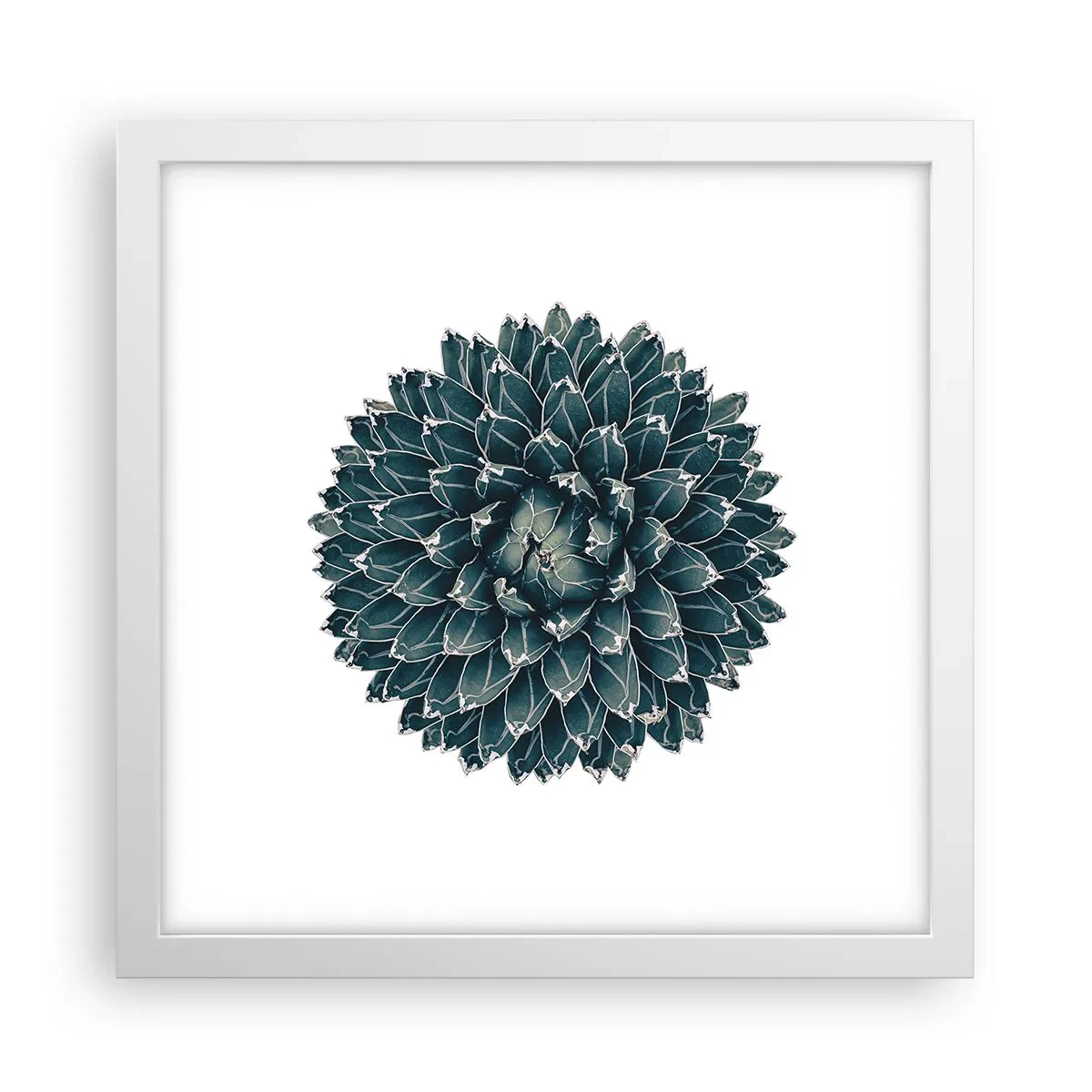 Affiche dans un cadre blanc - Poster - Étoile du désert - 30x30 cm