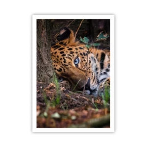 Affiche - Poster - Fais-moi confiance - 70x100 cm