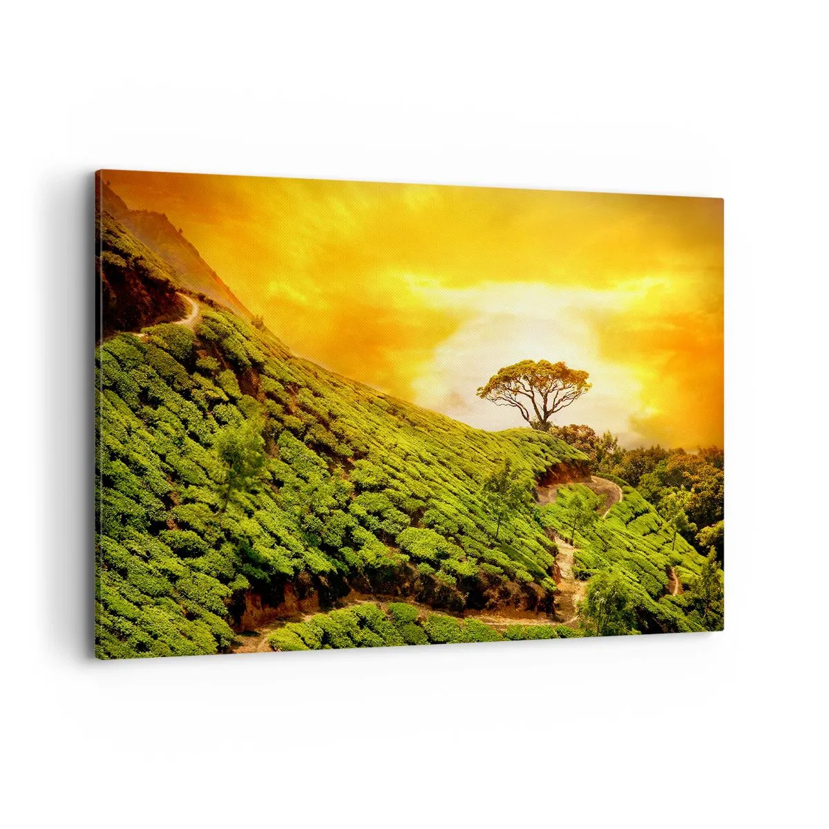 Impression sur toile - Image sur toile - Collines verdoyantes de plantations de thé au coucher du soleil - 100x70cm - Un chemin sinueux, une pente verte - Décoration murale moderne pour le salon et la chambre ARTTOR