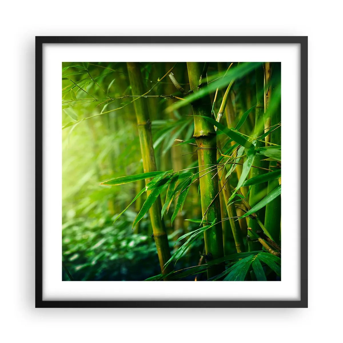 Affiche dans un cadre noir - Poster - Apprenez à connaître le vert lui-même - 50x50 cm