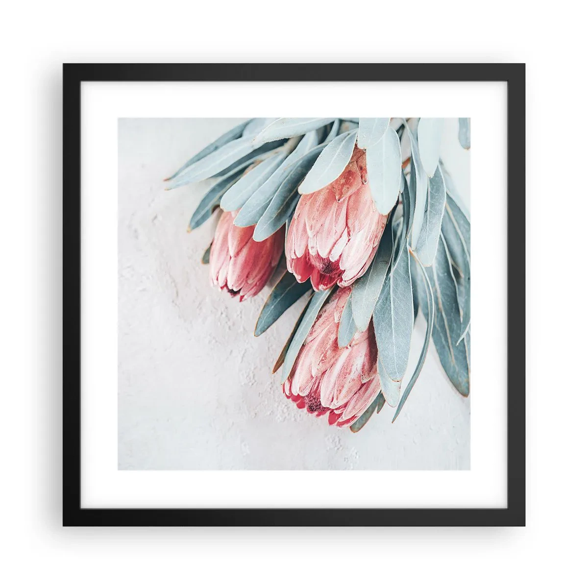 Affiche dans un cadre noir - Poster - Honte de leur propre beauté - 40x40 cm