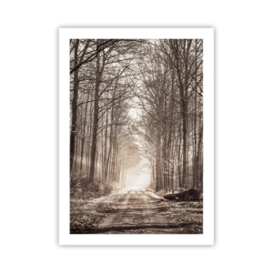 Affiche - Poster - Un chemin forestier aux tons sépia automnaux - 50x70cm - Cathédrale de la forêt - Décoration murale moderne pour le salon et la chambre ARTTOR
