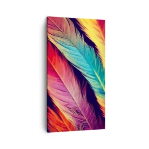 Impression sur toile - Image sur toile - Arc-en-ciel de plumes - 45x80 cm