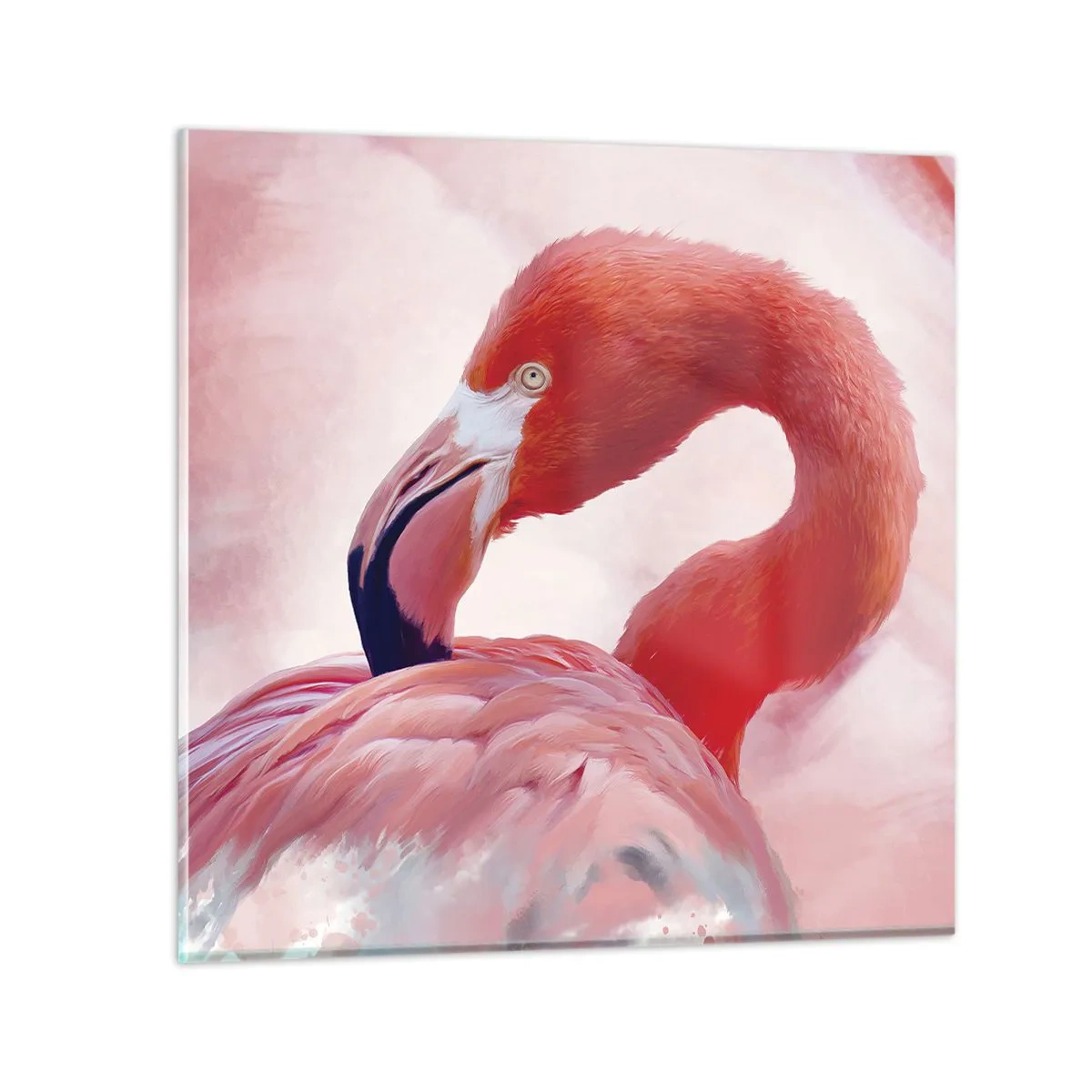 Impression sur verre - Image sur verre - Beauté des oiseaux - 70x70 cm