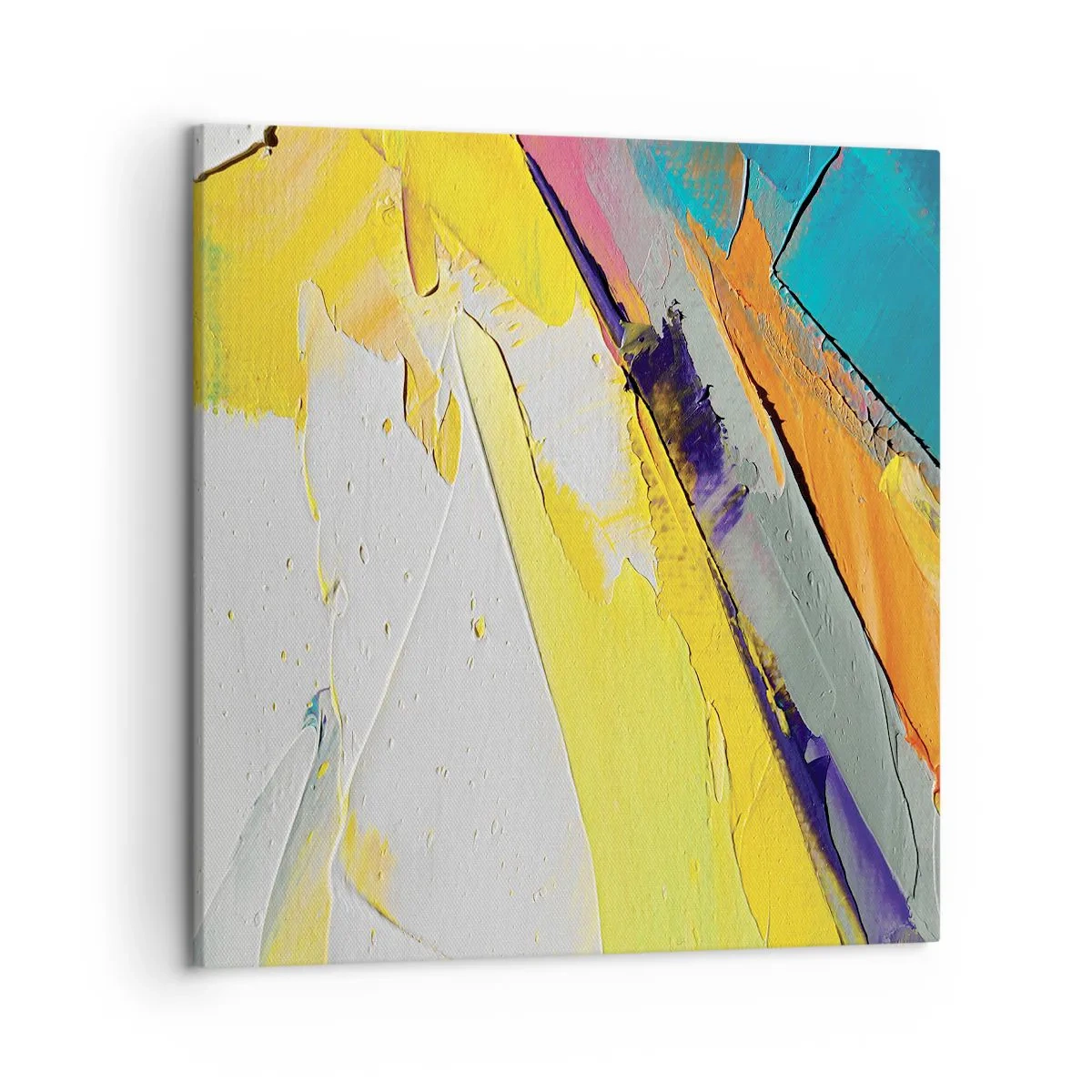 Impression sur toile - Image sur toile - Anatomie du monde - 50x50 cm