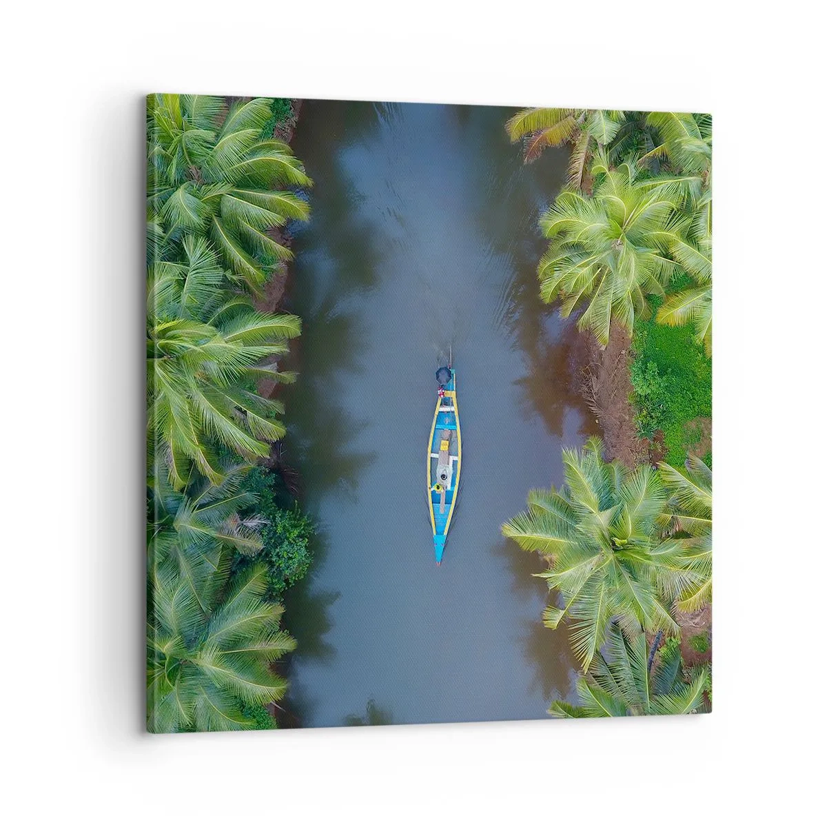 Impression sur toile - Image sur toile - Sur un sentier tropical - 60x60 cm