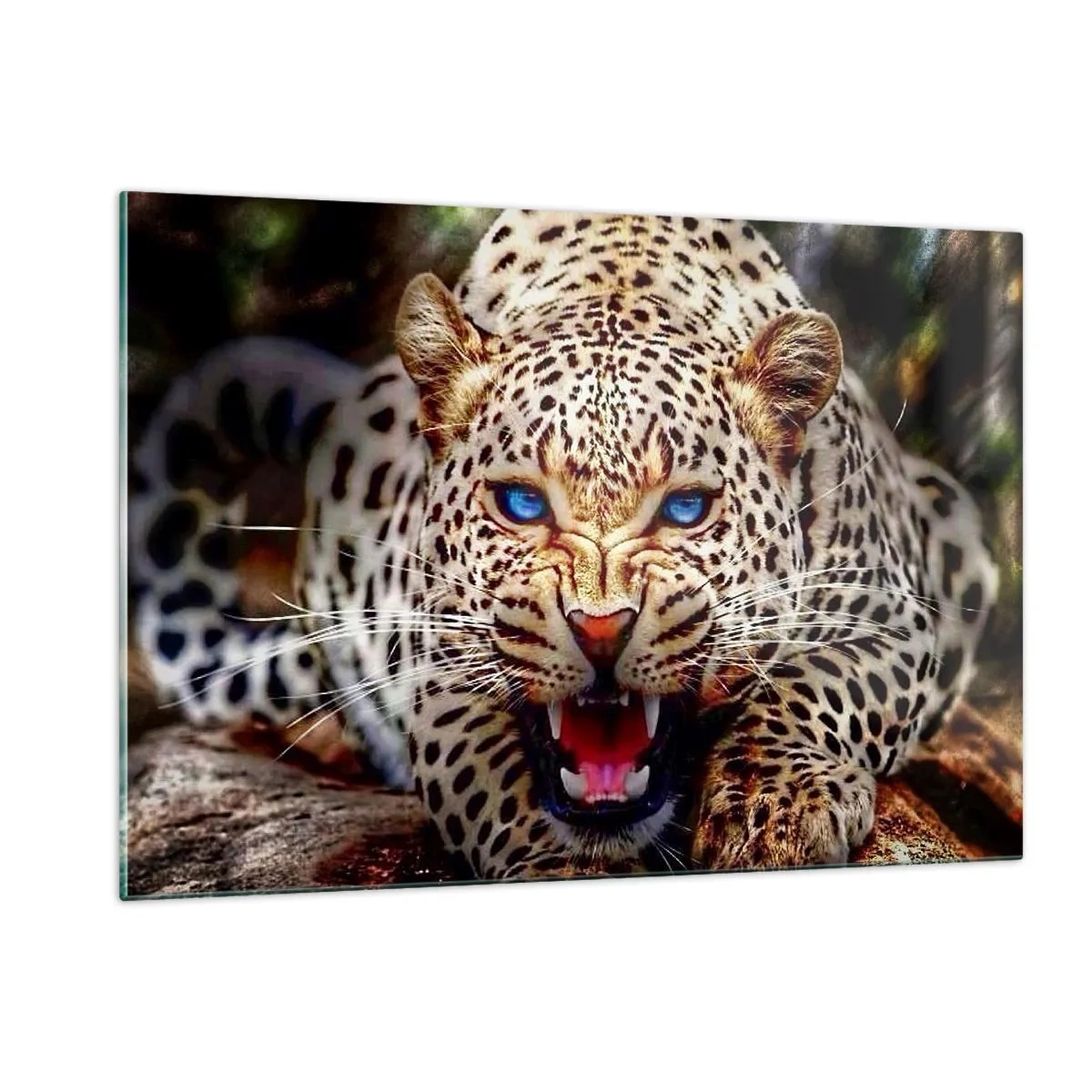 Impression sur verre - Image sur verre - Un léopard féroce aux yeux bleus dans la nature - 120x80cm - La colère de la beauté ne fait pas de mal - Décoration murale moderne pour le salon et la chambre ARTTOR