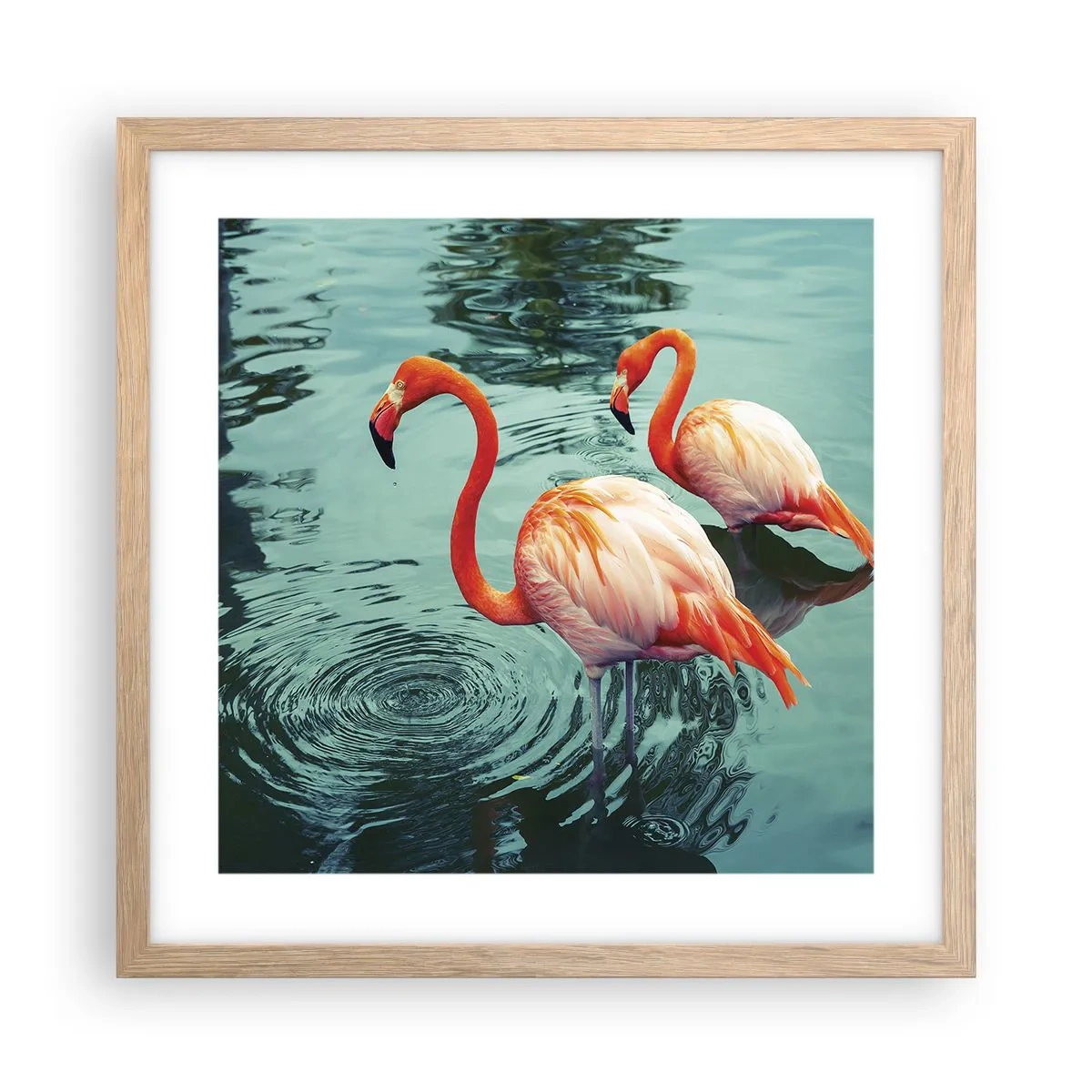 Affiche dans un chêne clair - Poster - Nous sommes à la mode maintenant - 40x40 cm