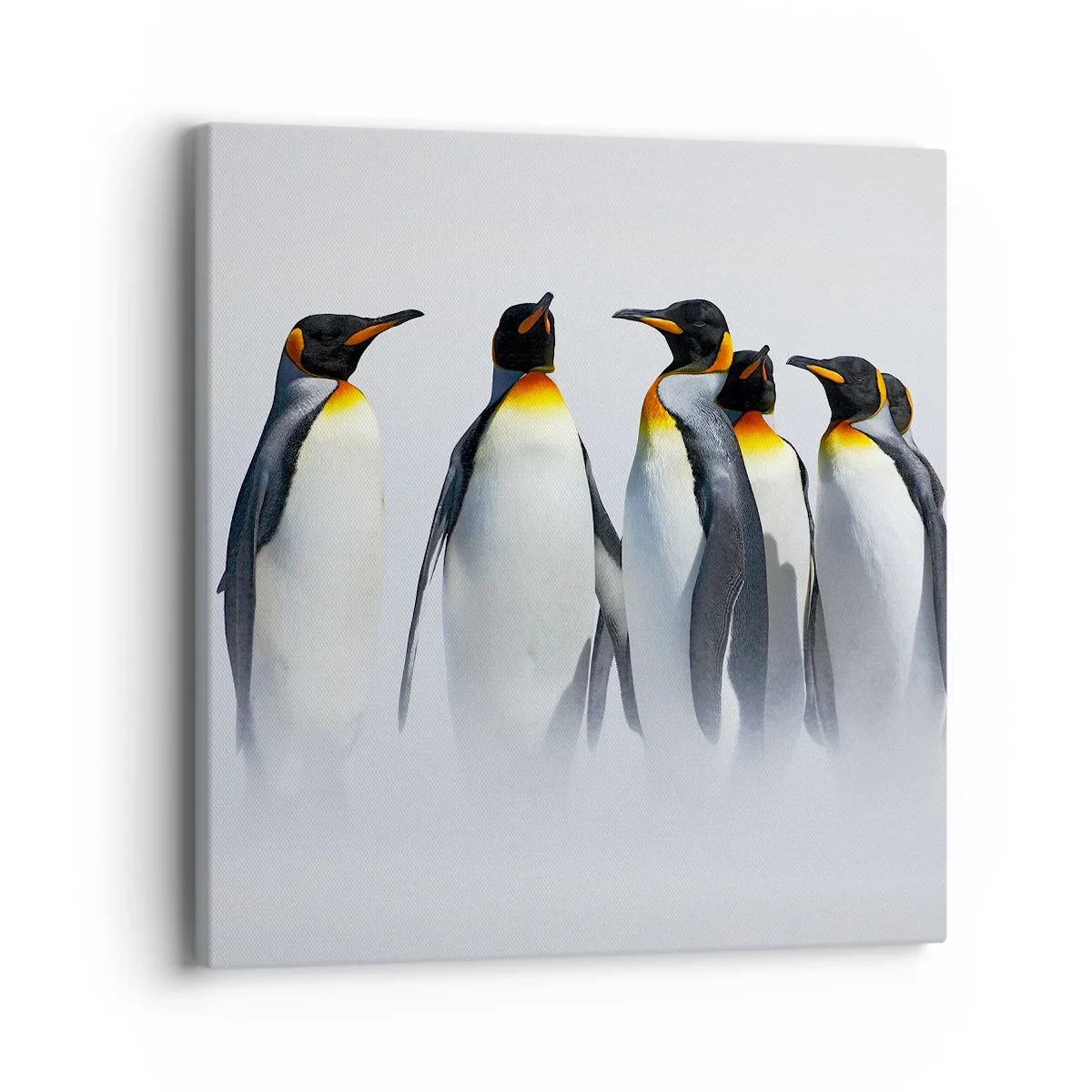 Impression sur toile - Image sur toile - Rencontre en robes de soirée - 40x40 cm