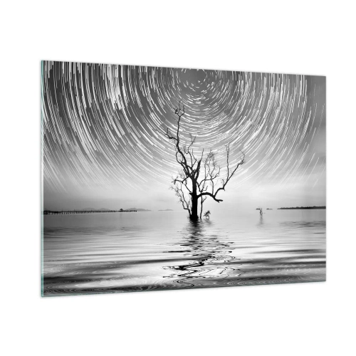 Impression sur verre - Image sur verre - Paysage noir et blanc avec un arbre et des traînées d'étoiles - 100x70cm - La symphonie de la nature - Décoration murale moderne pour le salon et la chambre ARTTOR
