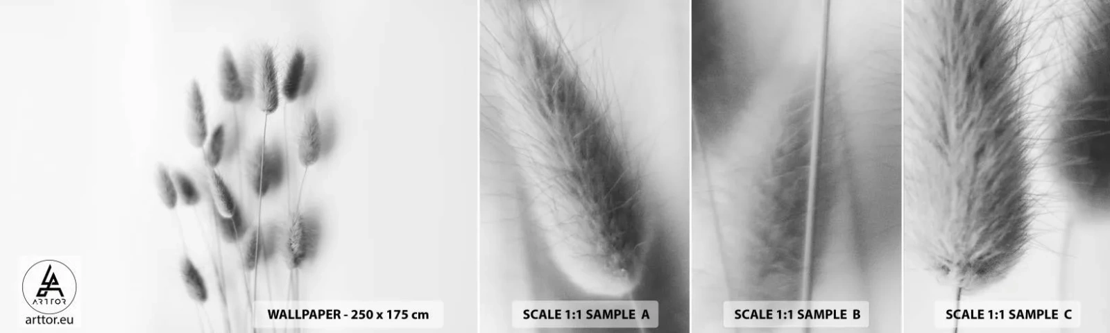 Échantillon De Papier Peint Standard Eco - Son herbe duveteuse - Herbe, Noir et blanc, Fleurs - 100x30 cm