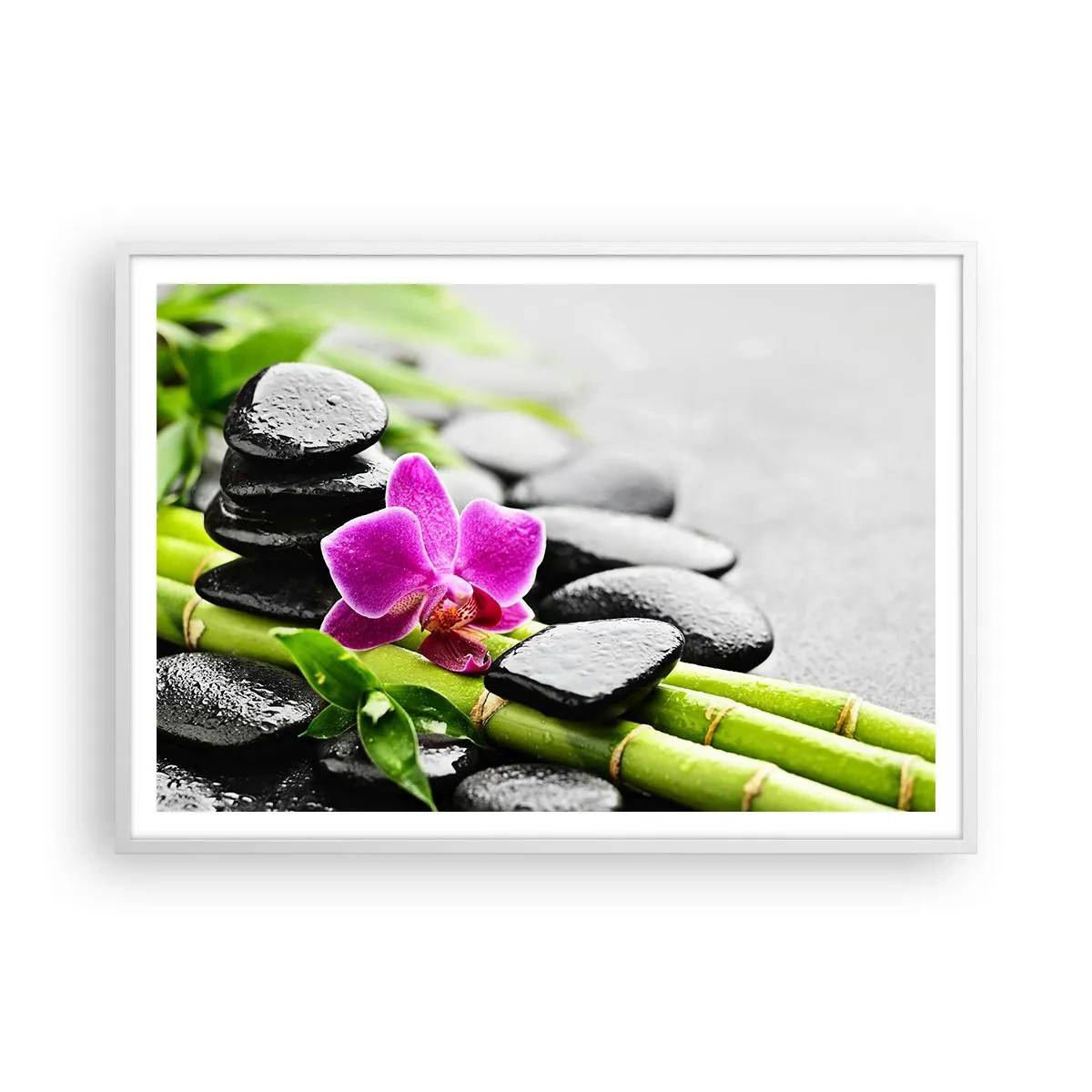 Affiche dans un cadre blanc - Poster - Dans un équilibre de calme - 100x70 cm