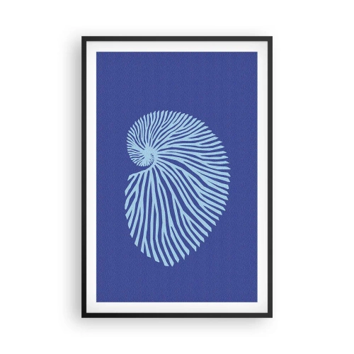 Affiche dans un cadre noir - Poster - La naissance de la coquille - 61x91 cm