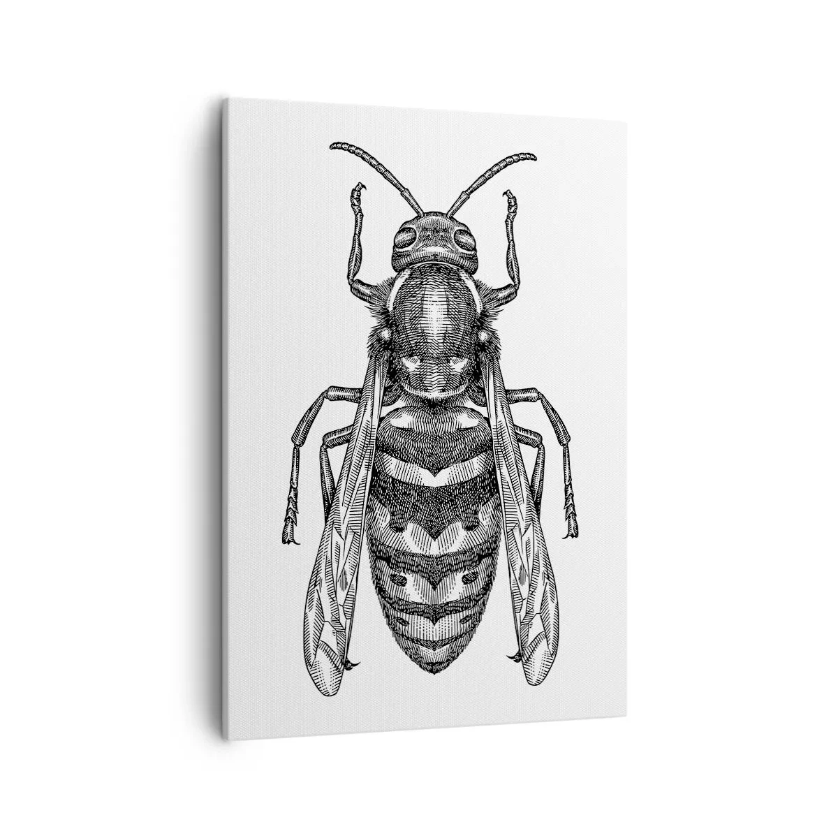 Impression sur toile - Image sur toile - Un motif de guêpe de dessin animé sur fond blanc dans un style minimaliste. - 50x70cm - D'une planète d'insectes - Décoration murale moderne pour le salon et la chambre ARTTOR