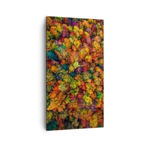 Impression sur toile - Image sur toile - Bouquet d'arbres automnal - 45x80 cm
