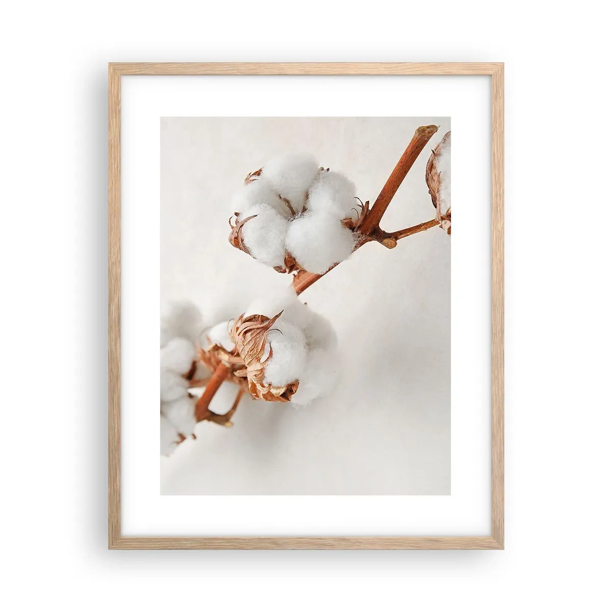 Affiche dans un chêne clair - Poster - Seulement caliner - 40x50 cm