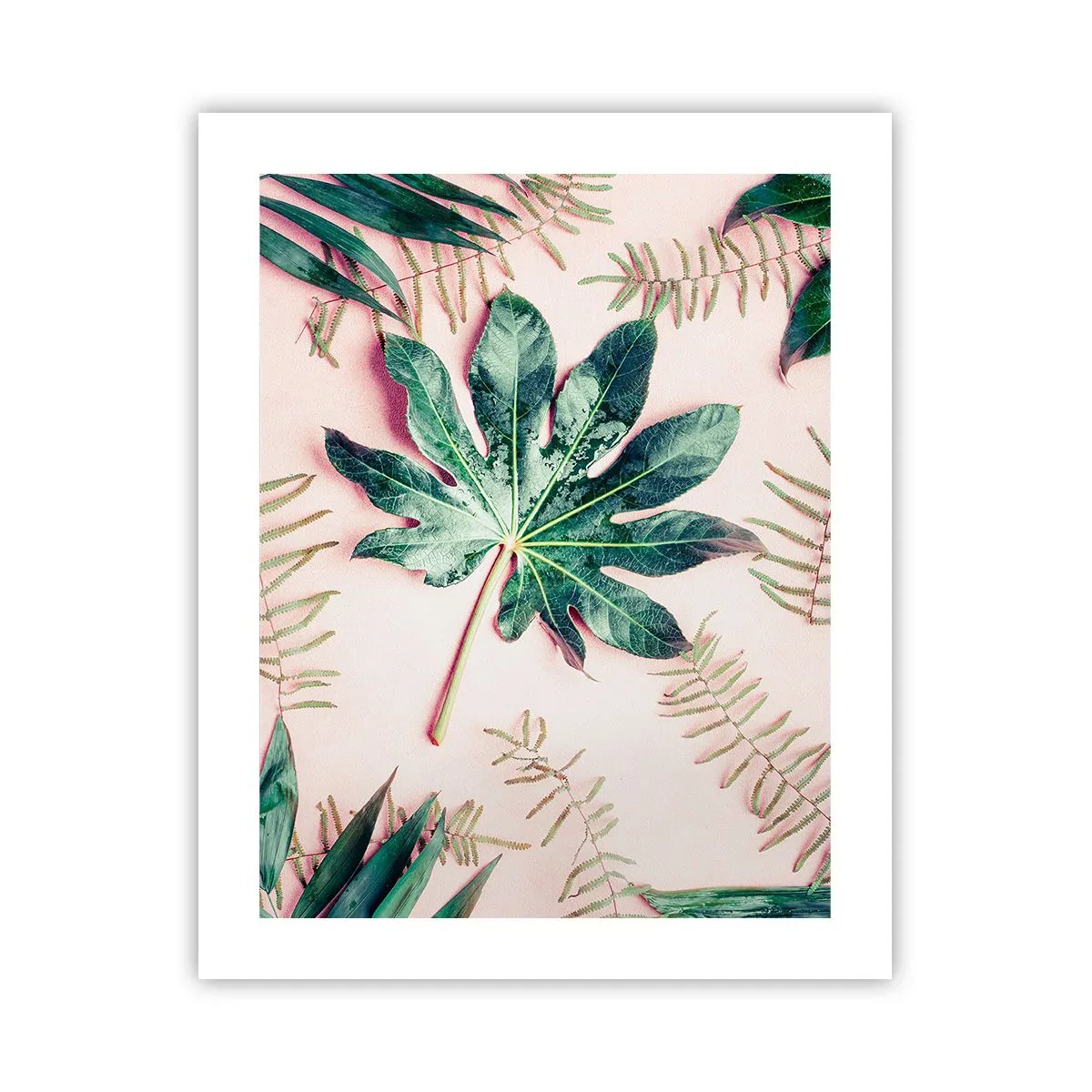 Affiche - Poster - Étude de verdure sur fond rose - 40x50 cm