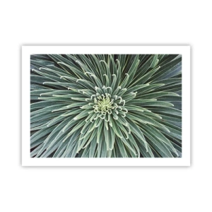 Affiche - Poster - Naissance d'une étoile - 70x50 cm