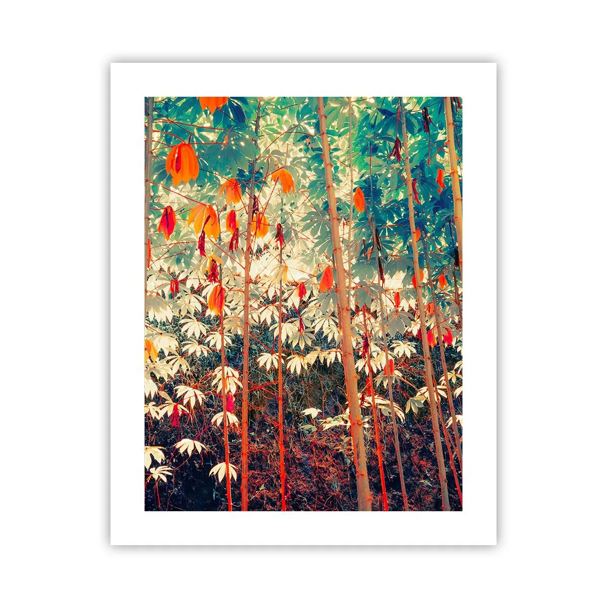 Affiche - Poster - La vie secrète des feuilles - 40x50 cm