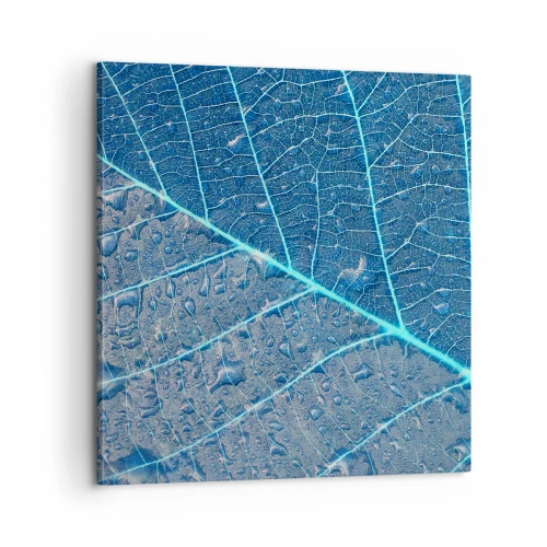 Impression sur toile - Image sur toile - La vie en bleu - 60x60 cm