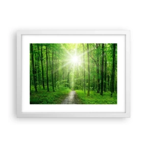 Affiche dans un cadre blanc - Poster - Cathédrale verte - 40x30 cm