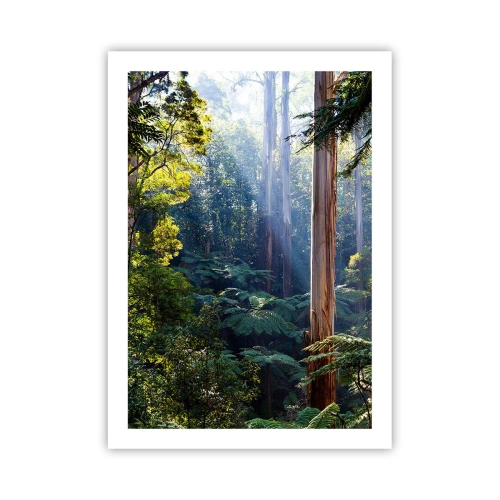 Affiche - Poster - Forêt tropicale illuminée par la lumière du soleil - 50x70cm - Fable de la forêt - Décoration murale moderne pour le salon et la chambre ARTTOR