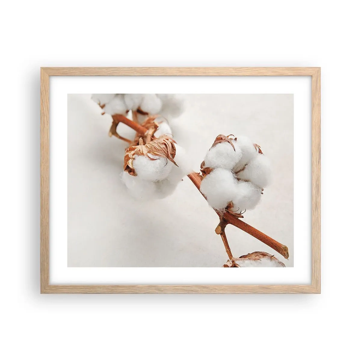 Affiche dans un chêne clair - Poster - Seulement caliner - 50x40 cm