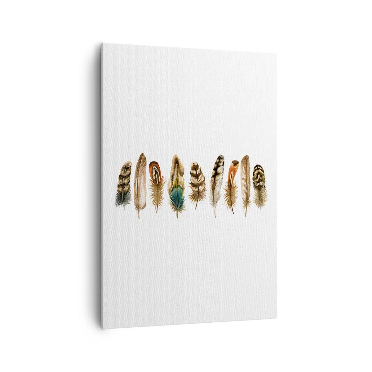 Impression sur toile - Image sur toile - Motif décoratif d'une collection de plumes diverses - 70x100cm - Variation à plumes - Décoration murale moderne pour le salon et la chambre ARTTOR