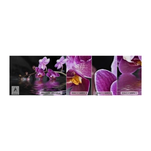 Échantillon de Papier Peint Autocollant Deluxe Sticker - Reflet lilas de la beauté - Fleurs, Orchidée, Nature - 100x30 cm