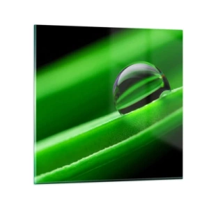 Impression sur verre - Image sur verre - La vie de près - 30x30 cm