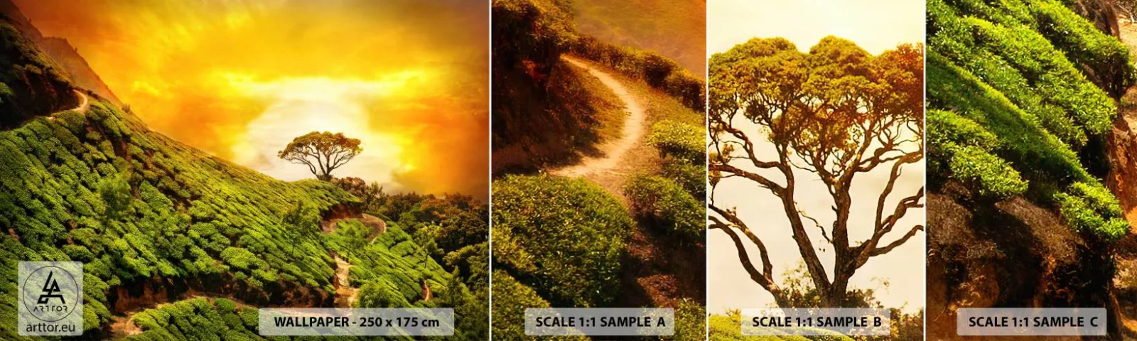 Échantillon De Papier Peint Standard Eco - Un chemin sinueux, une pente verte - Paysage, Plantation de thé, Inde - 100x30 cm