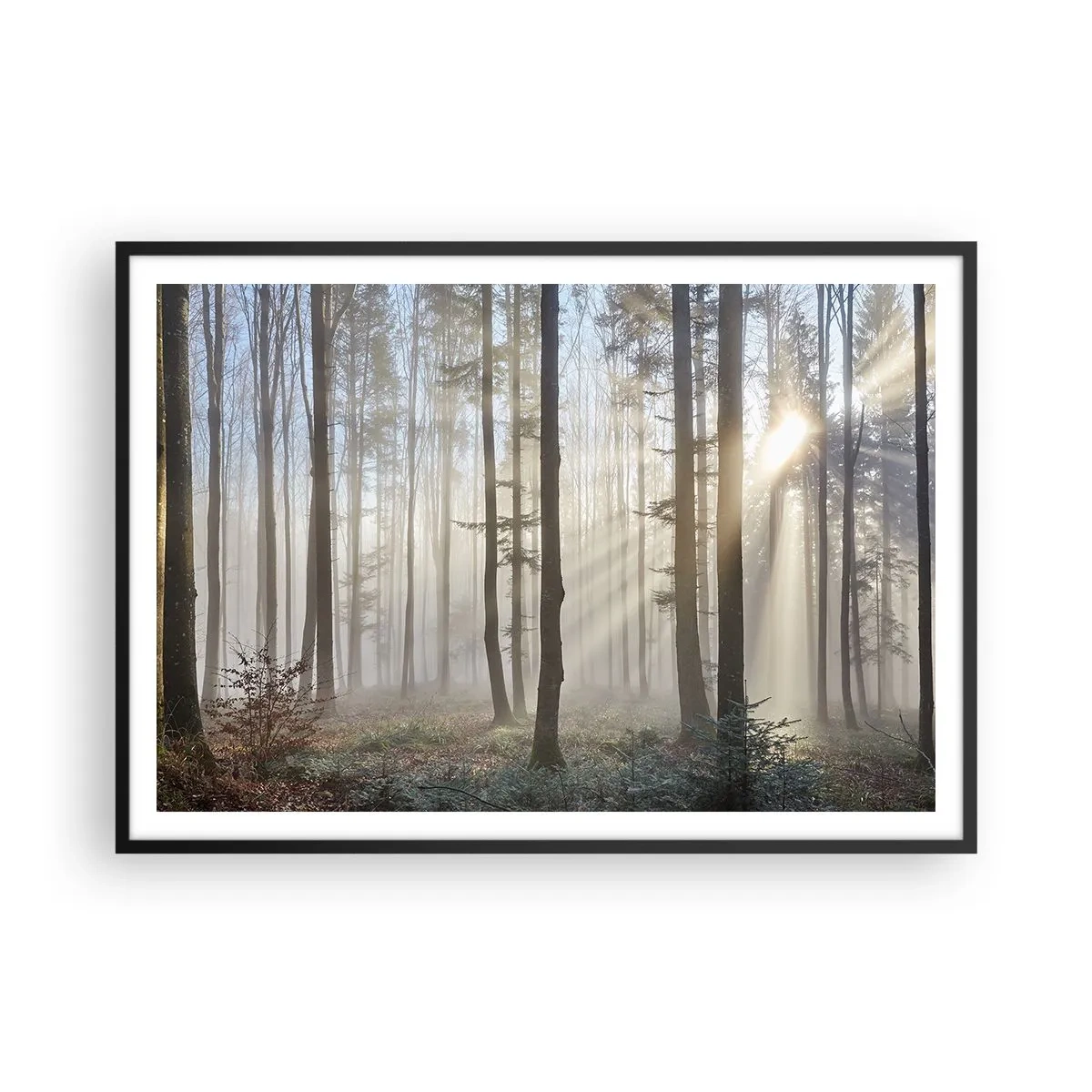 Affiche dans un cadre noir - Poster - Une forêt dans un léger brouillard avec des rayons de soleil qui brillent à travers les arbres - 100x70cm - Le brouillard s'est aussi réveillé - Décoration murale moderne pour le salon et la chambre ARTTOR