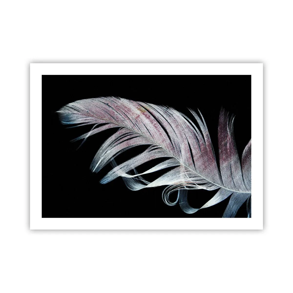 Affiche - Poster - Pensez au toucher - 70x50 cm