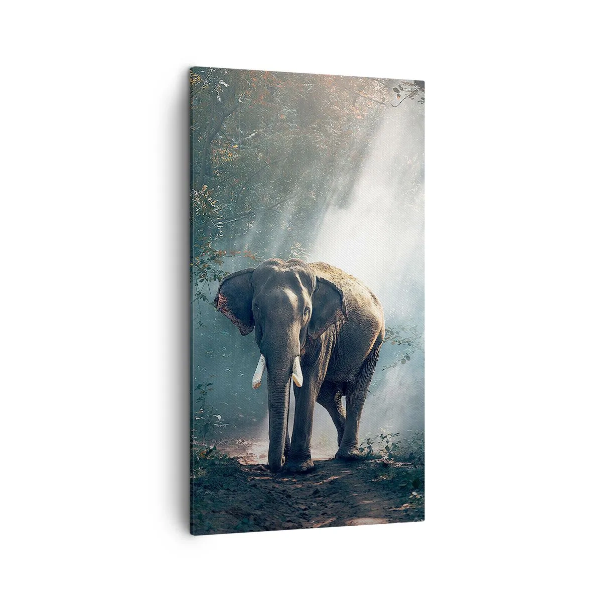 Impression sur toile - Image sur toile - Une balade tranquille - 45x80 cm