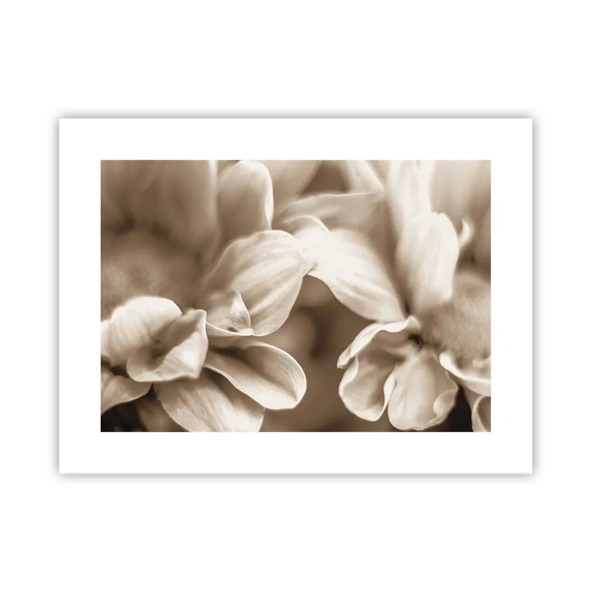 Affiche - Poster - Doux comme un sourire - 40x30 cm