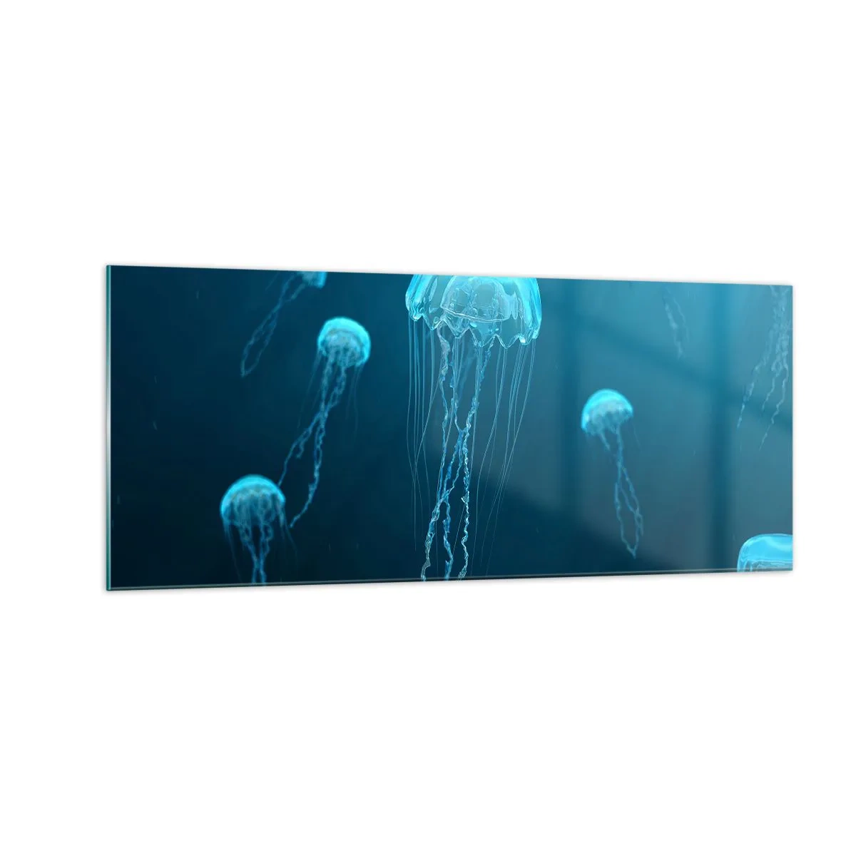 Impression sur verre - Image sur verre - Danse océanique - 100x40 cm