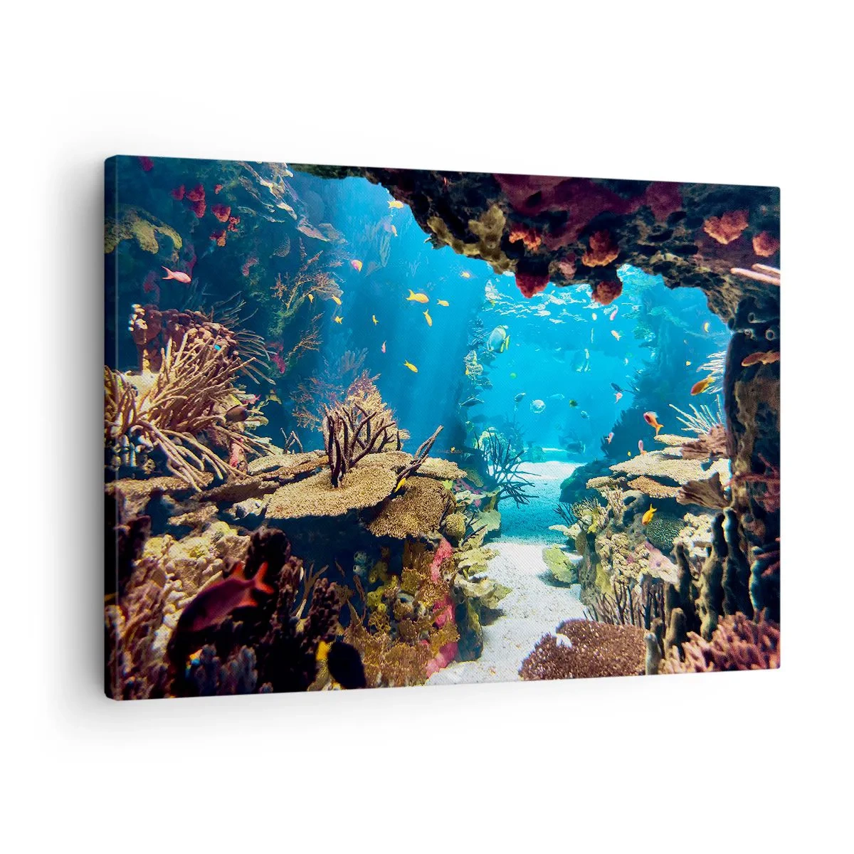Impression sur toile - Image sur toile - Monde sous-marin avec récif corallien et poissons - 70x50cm - Tu ne l'as même pas rêvé - Décoration murale moderne pour le salon et la chambre ARTTOR