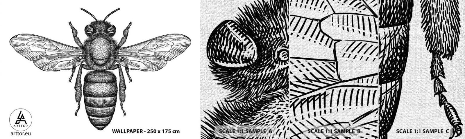 Échantillon de Papier Peint Premium Canvas - Portrait d'insecte - Abeille, Insecte, Minimaliste - 100x30 cm