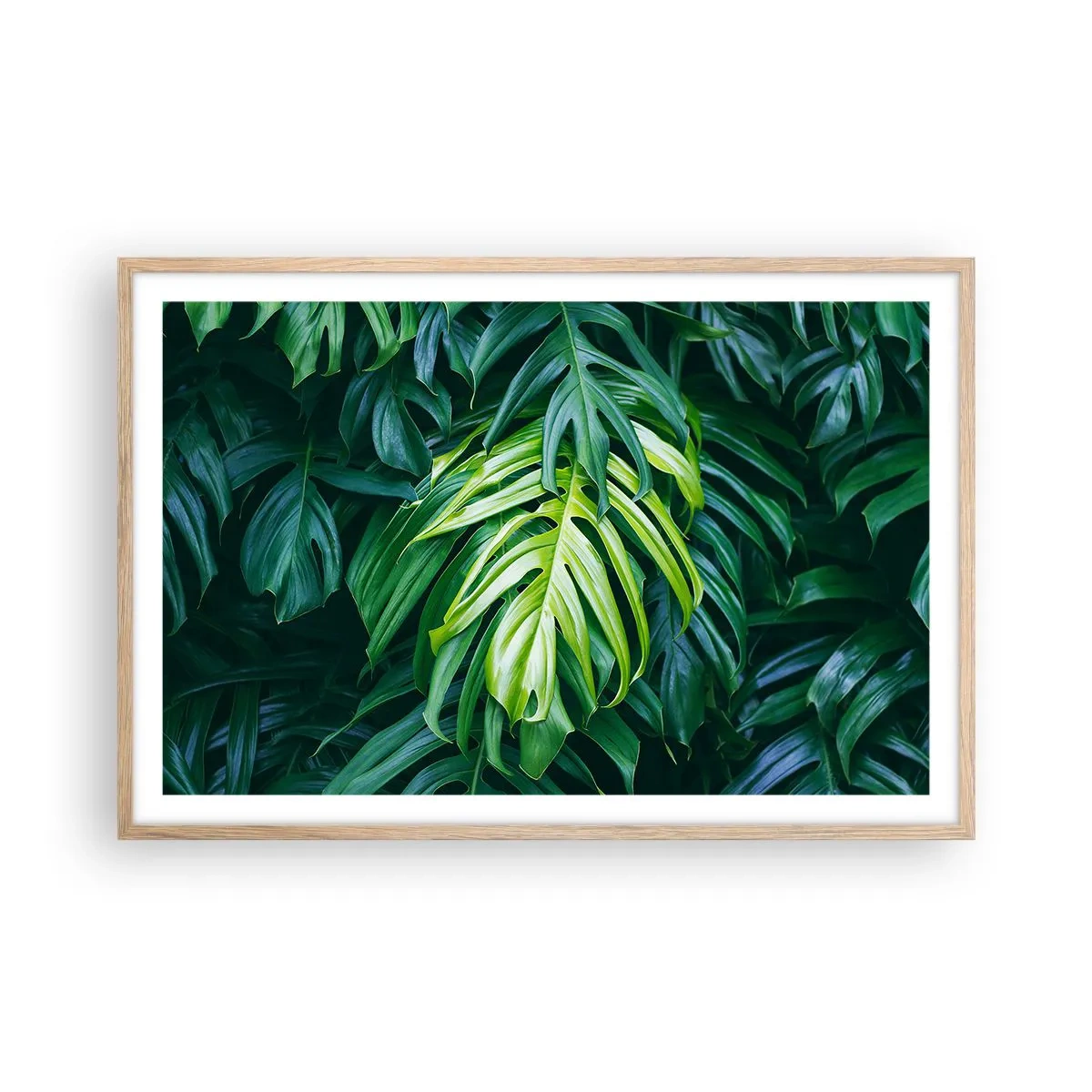 Affiche dans un chêne clair - Poster - Immergez-vous dans la fraîcheur - 91x61 cm