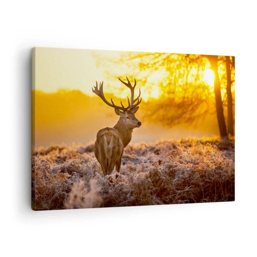 Impression sur toile - Image sur toile - Un cerf sur fond de forêt d'automne illuminée par le soleil doré - 70x50cm - Roi de la forêt automnal - Décoration murale moderne pour le salon et la chambre ARTTOR