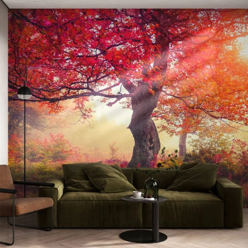 Papier Peint Autocollant Deluxe Sticker - Frénésie de floraison - Paysage, Parc, Fleurs - 250x175 cm