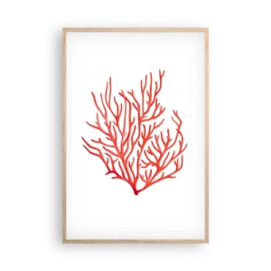 Affiche dans un chêne clair - Poster - Filigrane de corail - 61x91 cm