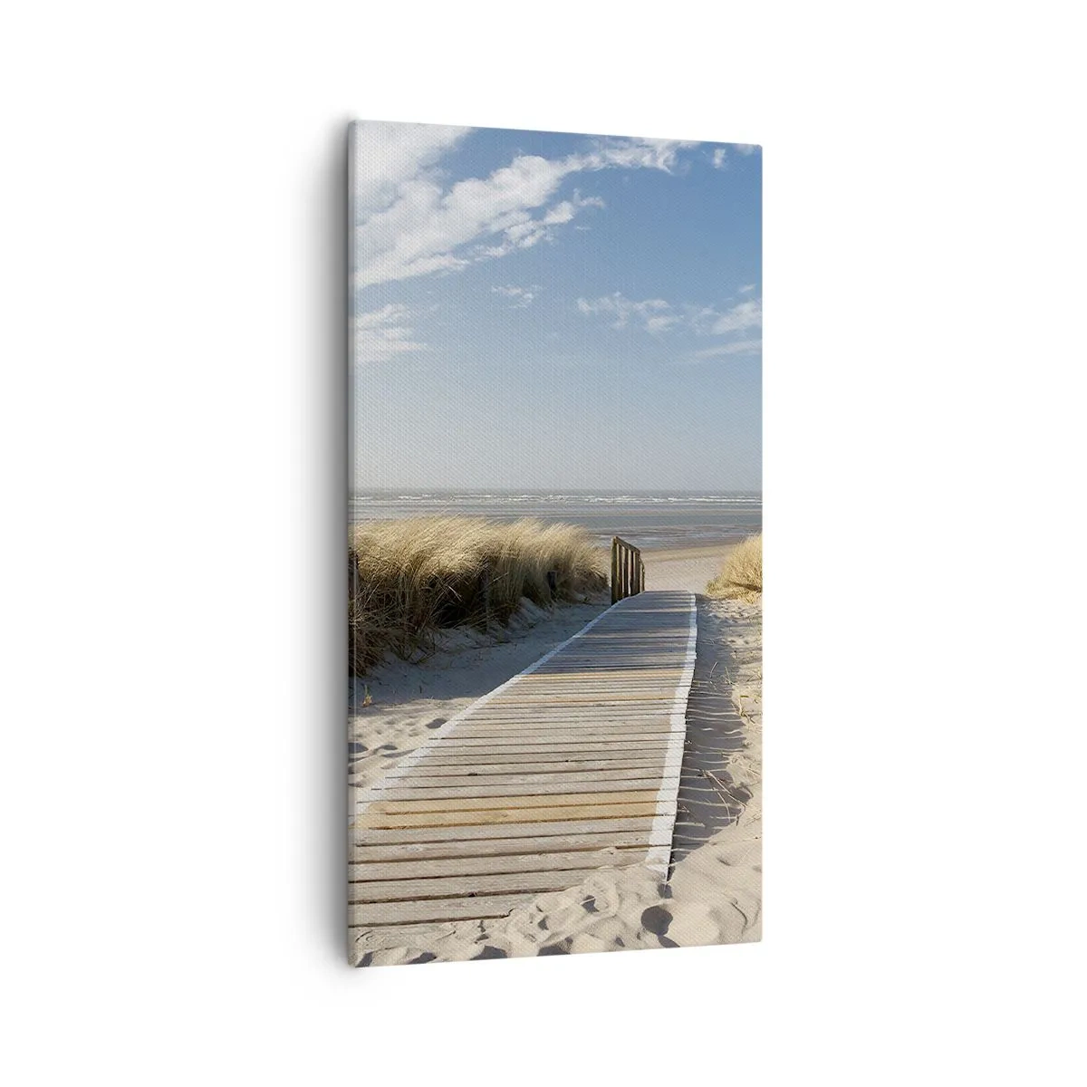 Impression sur toile - Image sur toile - Derrière la dune, dans le bruissement de l'herbe - 55x100 cm