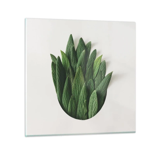 Impression sur verre - Image sur verre - Curiosité sans retenue - 70x70 cm